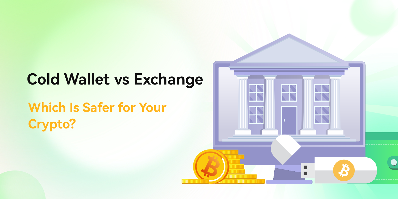 Cold Wallet vs Exchange: Which Is Safer for Your Crypto?